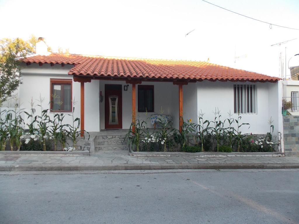 Galina * Agios Evstratios